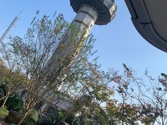 -岳麓山风景名胜区