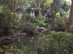 iphone_upload_pic-望江楼公园