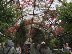 -The Grounds of Alexandria