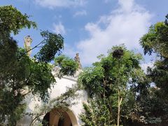 -海口观澜湖火山温泉谷