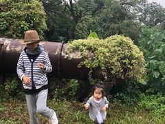-松山湖梦幻百花洲
