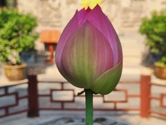 -湘子庙