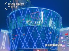 -鹏欣水游城
