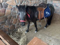 -珠海海泉湾神秘岛亲子乐园