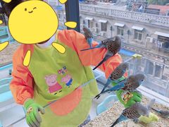 -怪兽屋·羊驼·猫咖·狗咖(俊华广场店)