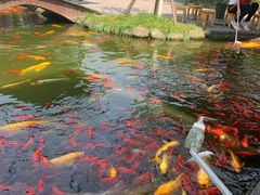 -成飞公园