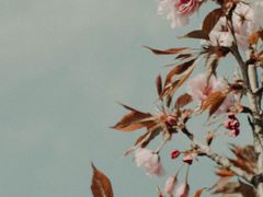 -三林塘老街