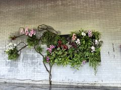 -柳侯公园