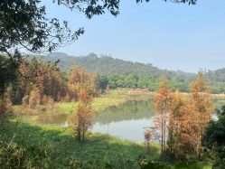 -佛灵湖水上乐园