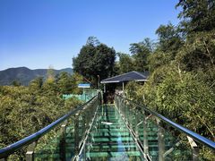 -陶祖圣境风景区