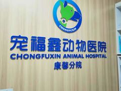 -宠福鑫康馨动物医院·骨科·眼科
