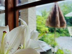 -Jo's Garden