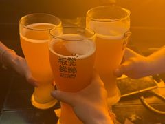 -板凳鲜酿·精酿啤酒(科华北路店)
