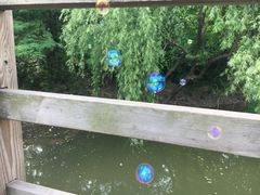 -吴淞炮台湾湿地森林公园烧烤区