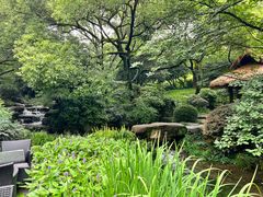-中国茶叶博物馆(双峰馆区)