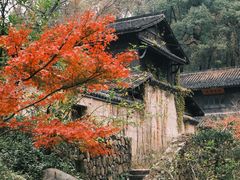 -杭州植物园