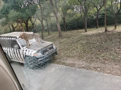-上海野生动物园