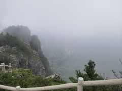 -牛背梁国家森林公园