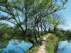 -西溪国家湿地公园