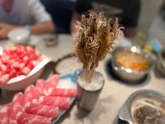 -海上明月海鲜火锅 鲜切牛肉