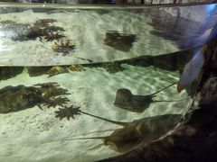 -福州罗源湾海洋世界旅游区