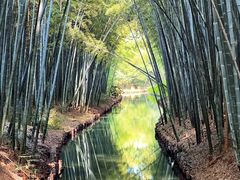 -同里国家湿地公园