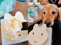 淡奶油蛋糕-皇后西斯汀饼店(文化路店)