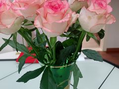 -双季花艺园艺市场(浦东店)