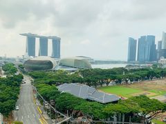 -新加坡瑞士史丹福酒店