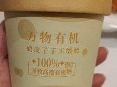 自制酸奶-紫光园(马桥店)