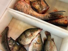 -江湖水乡铁锅炖魚(周庄嘉园店)