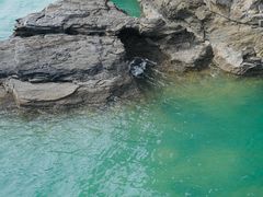 -大连金石滩滨海国家地质公园