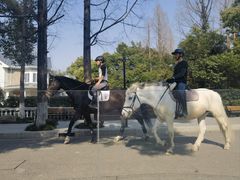 -J Create城市露营咖啡·简餐·宠物(上海动物园店)