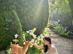 -沂蒙云瀑洞天景区