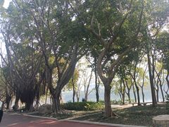 -南宁南湖公园