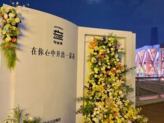 -武汉知音号