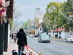 -东北农家小院(定西路店)