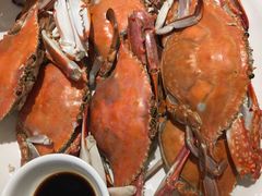 -赶海部落海鲜城(海阳路店)