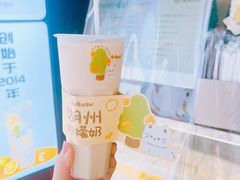 柠檬奶-猫的魔法密林(衣裳街店)
