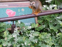 android_upload_pic-河川生态园