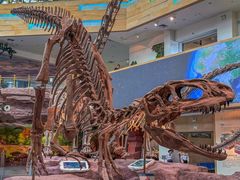 -安徽省地质博物馆