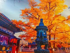 -红螺寺