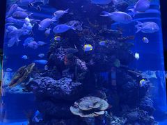 -成都浩海立方海洋公园