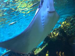 -华夏文旅海洋公园