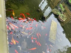 -和满堂·经典本帮菜(川沙古镇店)