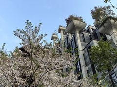 -上海月星家居(澳门路店)