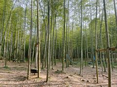 -陶祖圣境风景区