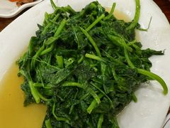 清炒地瓜叶-雨田饭店(华兴东街店)