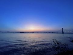 -芒洲湿地公园