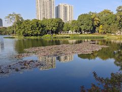 -荔湾湖公园
